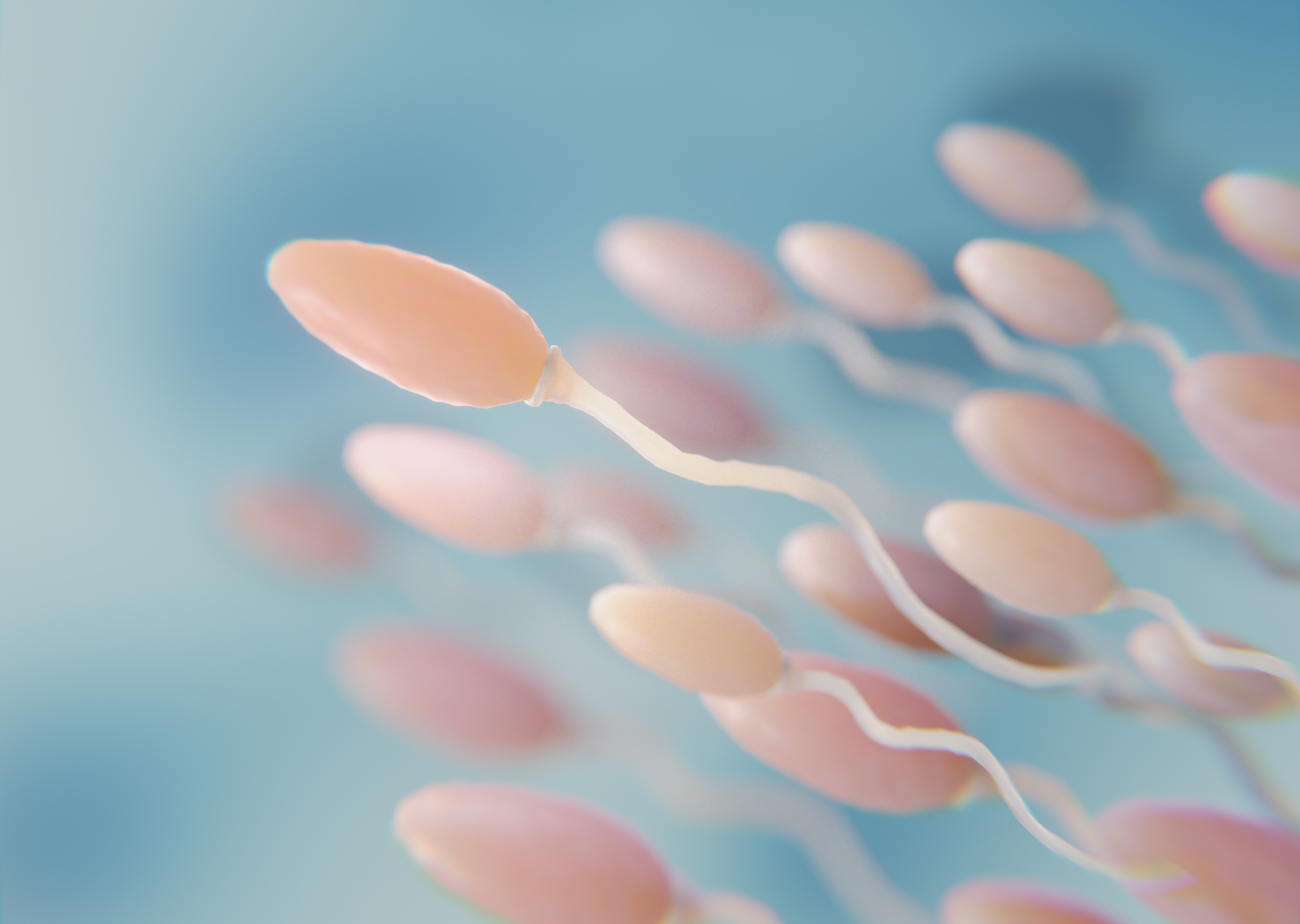 beautiful fertility concept in 3d renderin
